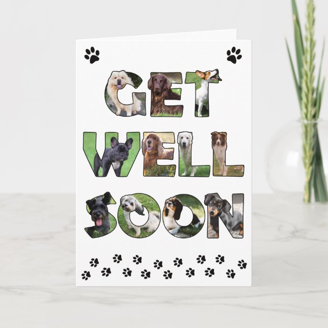 Get Well Soon carte de chien - peinture à l'huile (Devant)