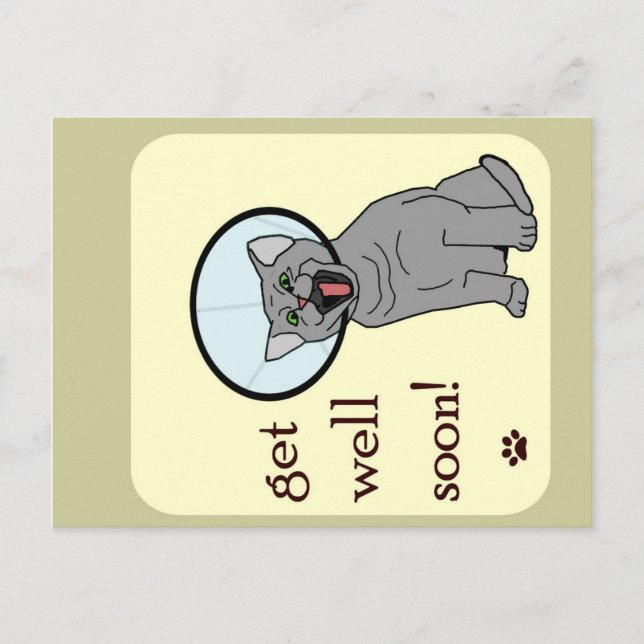 Get Well Soon | Cat with Cone Postcard (Front)