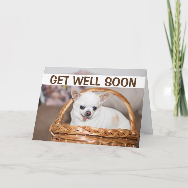 Get well soon cute dog chihuahua in a basket card (Front)