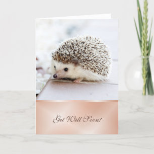 Get Well Soon   Cute Hedgehog Card