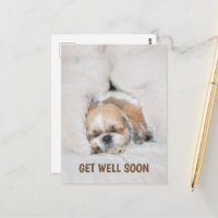 Get well soon cute puppy dog shihtzu sleeping card