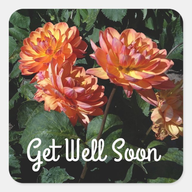 Get Well Soon Dahlia Pam Howden #1 Stickers (Front)