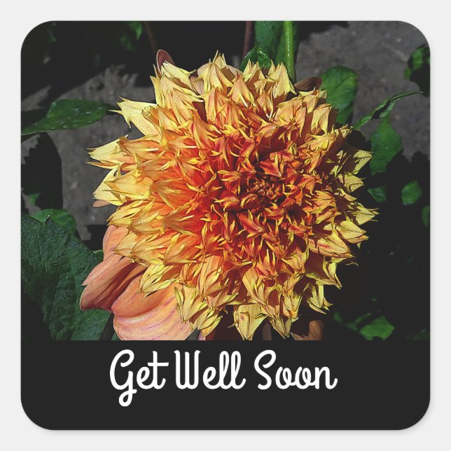 Get Well Soon Dahlia Sandia Brocade #1-2 Stickers (Front)