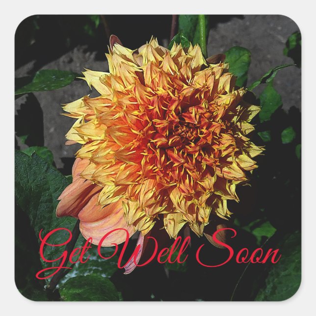 Get Well Soon Dahlia Sandia Brocade #1 Square Sticker (Front)