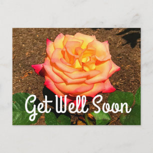 Get Well Soon Dream Come True Rose #3 Postcard