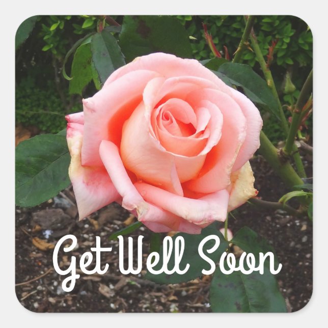 Get Well Soon Folklore Rose #1 Stickers (Front)