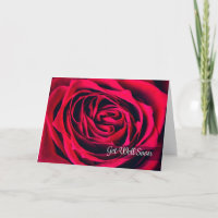 Get Well Soon For Anyone Beautiful Rose Close Up