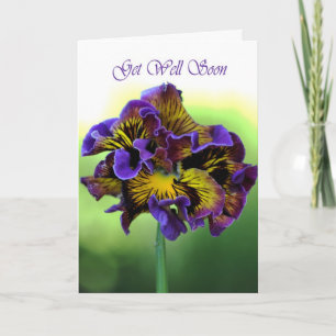 Get Well Soon -  Frilly Daisy Flower Card