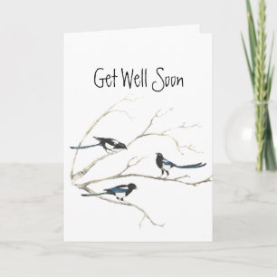 Get Well Soon, From the Gang of Magpies Birds Card