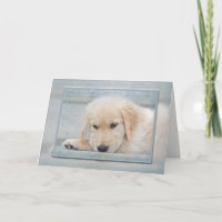 Get Well Soon Golden Retriever pup