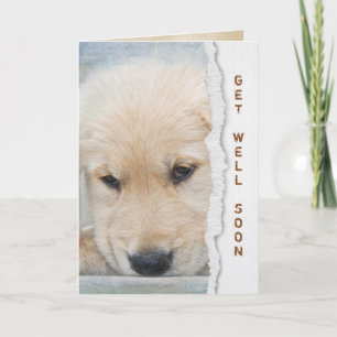 Get Well Soon golden retriever puppy Card