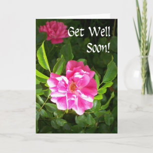 Get Well Soon Greeting Card - Pink Roses