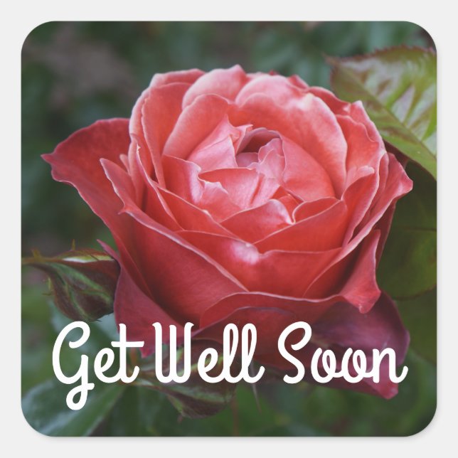 Get Well Soon Hot Cocoa Rose #2-1 Stickers (Front)