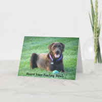 Get Well Soon Labrador Retriever Greeting Card