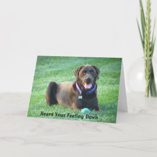 Get Well Soon Labrador Retriever Greeting Card