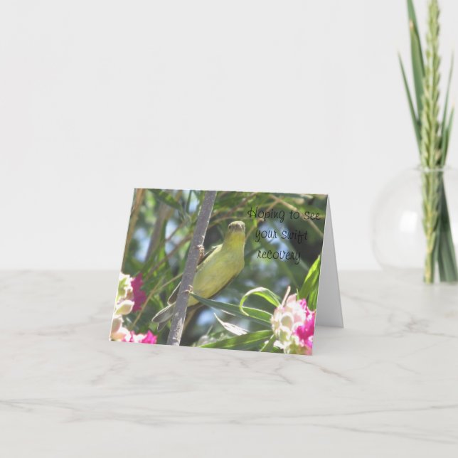 Get Well Soon Lesser Goldfinch Card (Front)