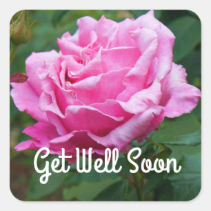 Get Well Soon Memorial Day Rose #2 Stickers