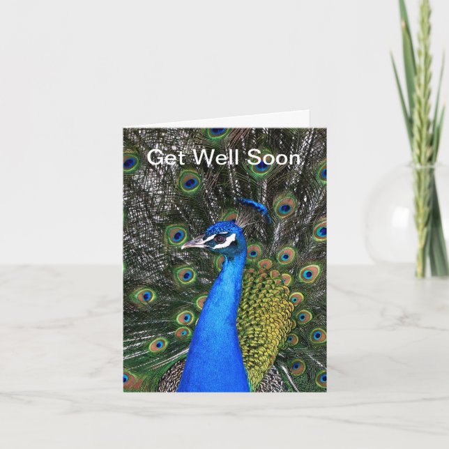 Get Well Soon - Peacock Card (Front)
