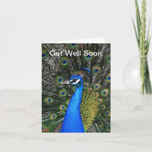 Get Well Soon - Peacock Card