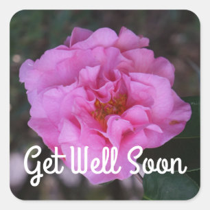 Get Well Soon Pink Camellia Stickers