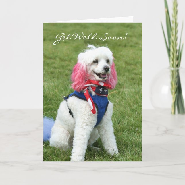 Get Well Soon poodle greeting card (Front)