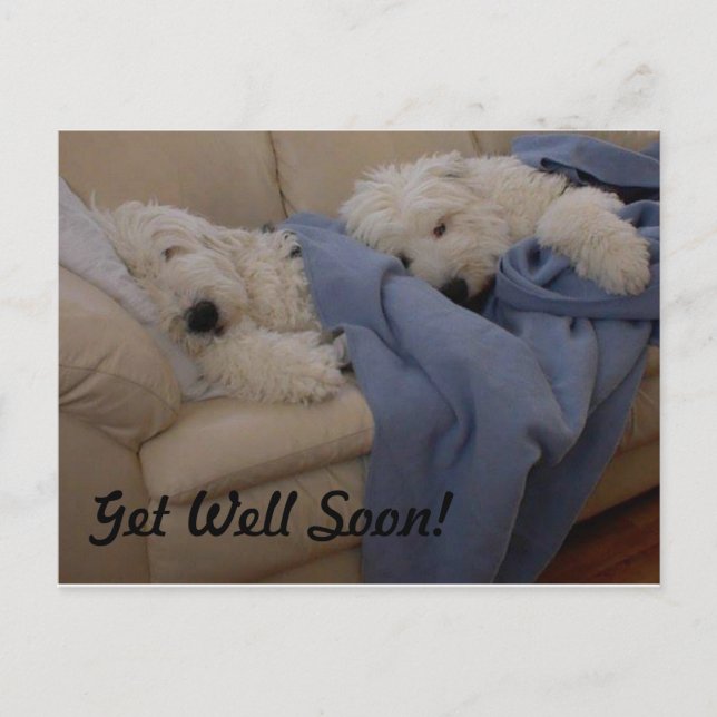 Get Well Soon! Postcard (Front)