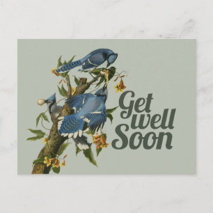 Get well Soon Postcard