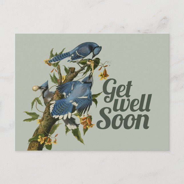 Get well Soon Postcard (Front)