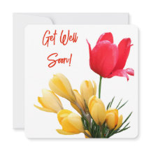Get well soon pretty yellow crocus red tulip fun