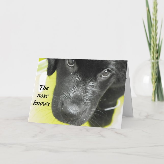 Get Well Soon Puppy Greeting card (Front)