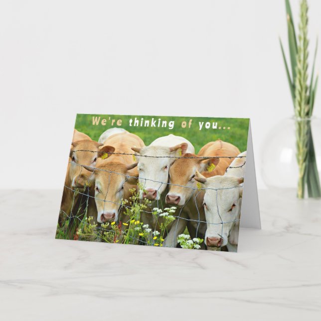 Get Well Soon  Ranch Farm Cattle Country Flowers Card (Front)