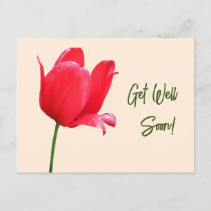 Get well soon red tulip minimalist floral boho postcard