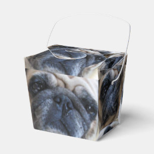 Get Well Soon Sick Pug Dog Favor Box