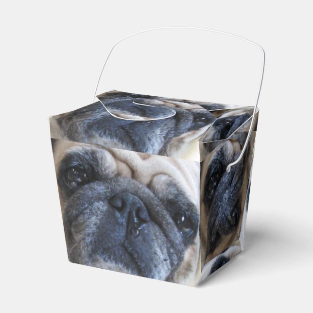 Get Well Soon Sick Pug Dog Favor Box (Front Side)
