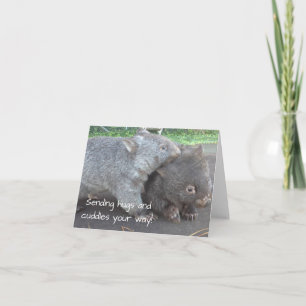 Get well soon, sympathy, cuddly wombat animals car card