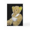 Get well soon teddy bear