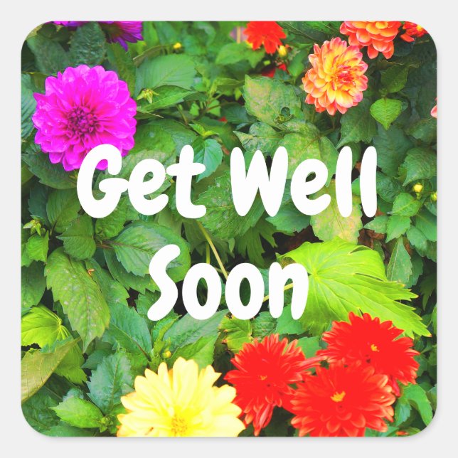 Get Well Soon Various Dahlias #1-1 Stickers (Front)