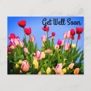 Get Well Soon Various Tulips #3 Postcard