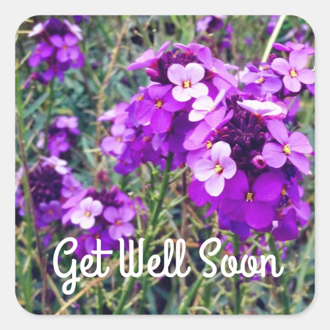 Get Well Soon Wallflower Bowles Mauve #1 Stickers (Front)