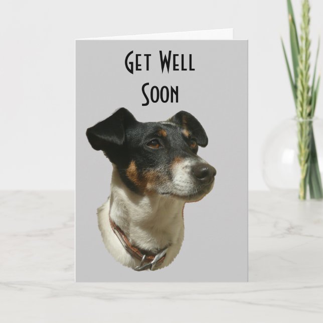 Get Well soon with Jack Russell dog Greeting Card (Front)