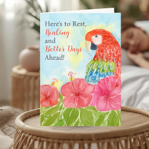 Get Well Soon with Scarlet Macaws and Hibiscus Card