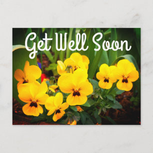 Get Well Soon Yellow Pansy #1 Postcard
