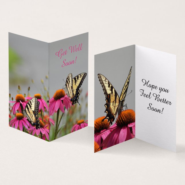 Get Well Swallowtail Butterfly, Pink Flower (Inside and Outside)
