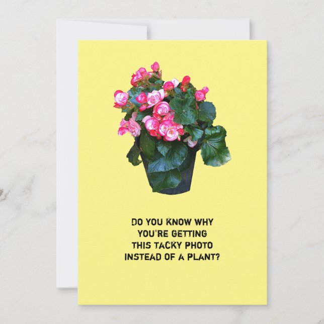 Get well tacky flowers floral pot, greeting card (Front)