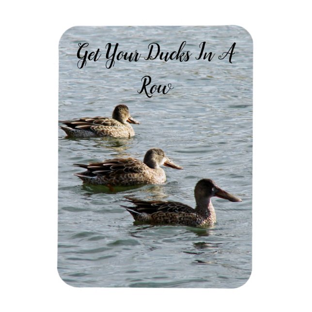 Get Your Ducks in A Row Magnet (Vertical)