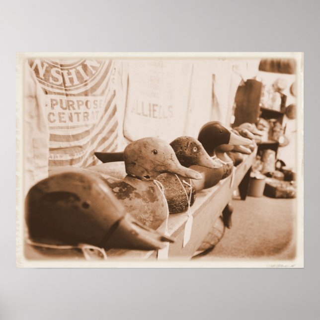 Get Your Ducks in a Row Poster (Front)