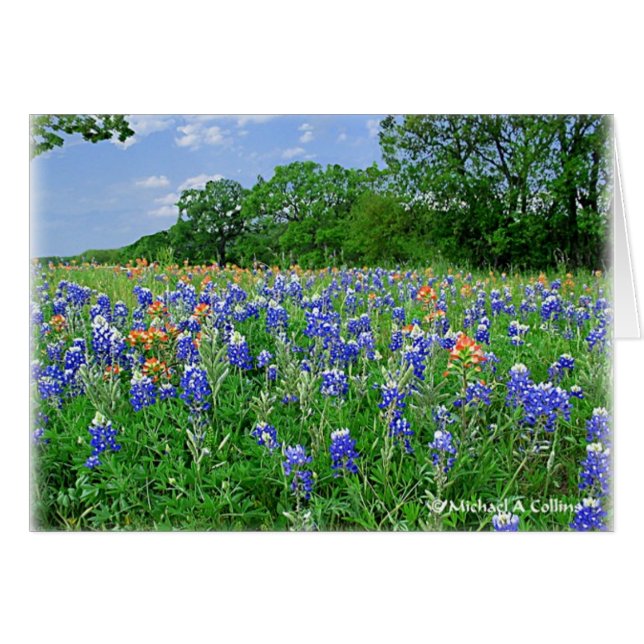 Get your pillow (Front Horizontal)