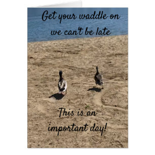 ***GET YOUR WADDLE ON*** DUCKS SAY "HAPPY BIRTHDAY