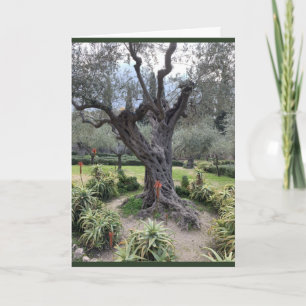 Gethsemane Sympathy Card