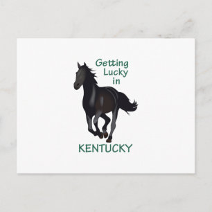 GETTING LUCKY IN KENTUCKY POSTCARD
